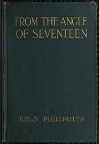 Cover of From the Angle of Seventeen — A Closer Reading