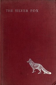 Cover of The Silver Fox — Background and ...